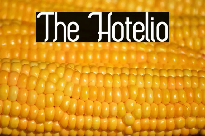 The Hotelio Example 2