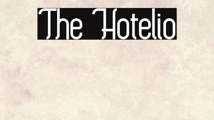 The Hotelio Example 3