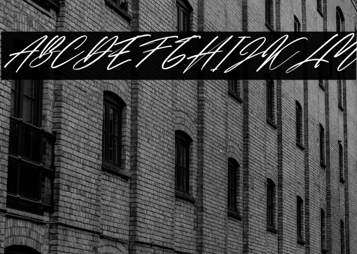 The Human Italic Example 1