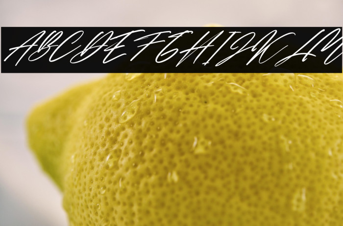 The Human Italic Example 3