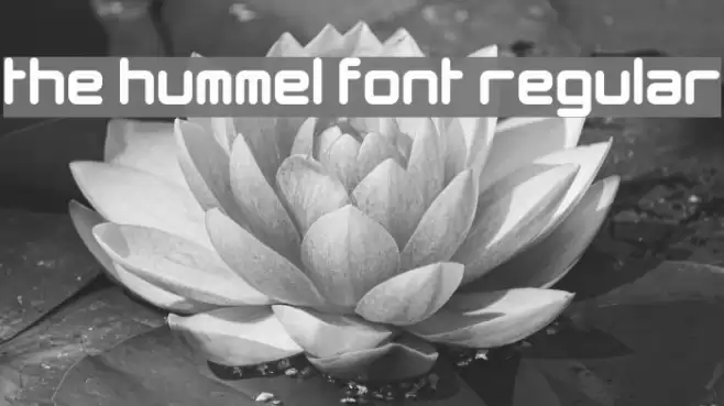 The Hummel Font Regular Font examples
