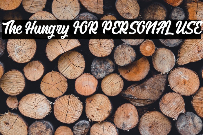 The Hungry FOR PERSONAL USE Example 1