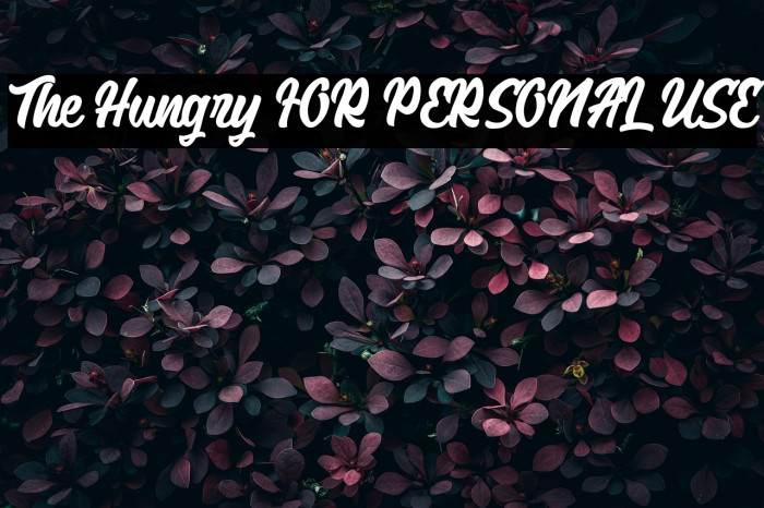 The Hungry FOR PERSONAL USE Example 3