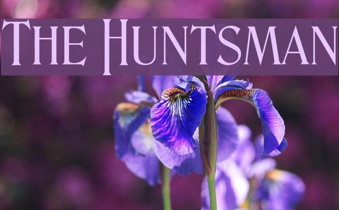 The Huntsman Example 3