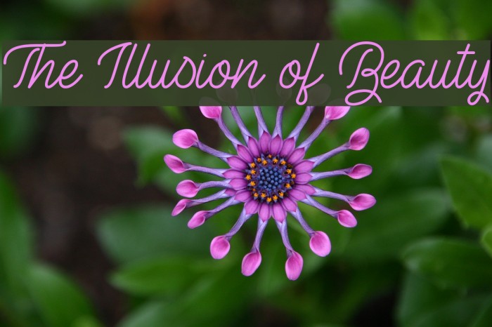 The Illusion of Beauty Font examples