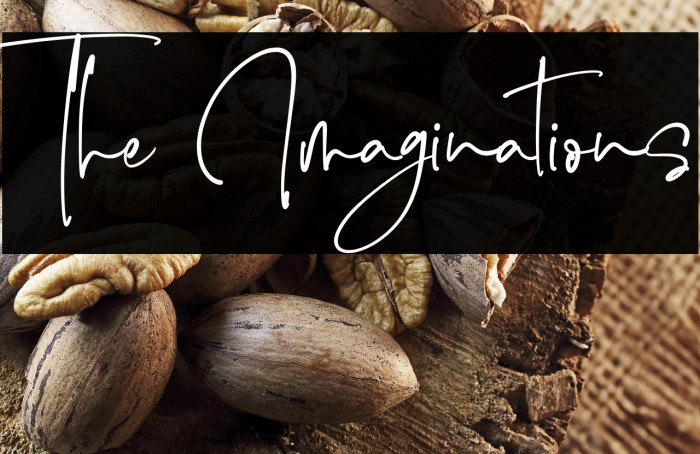 The Imaginations Example 1