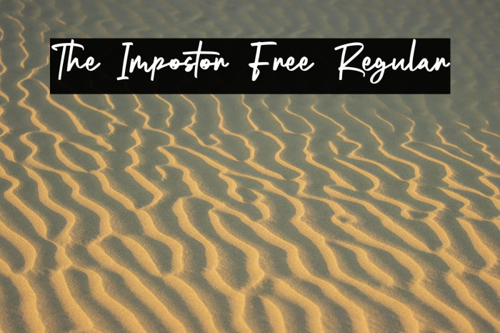 The Impostor Free Regular Example 3