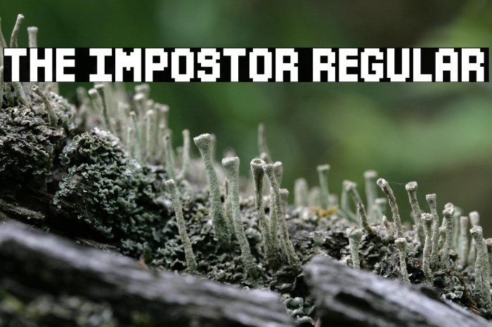 The Impostor Regular Example 1