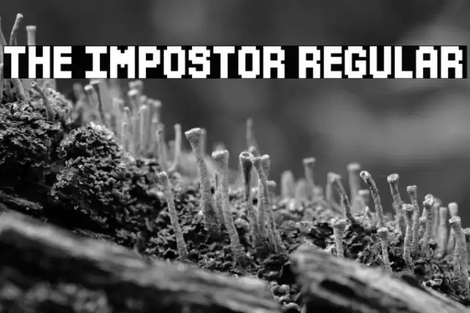 The Impostor Regular Font examples