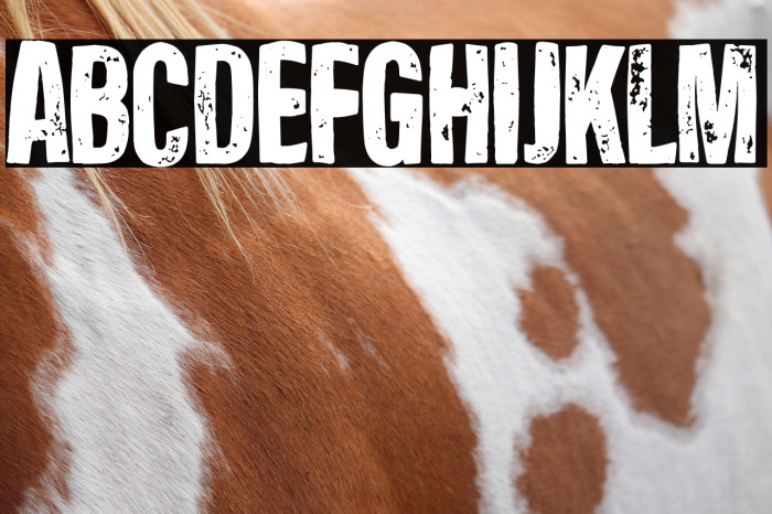 The Incredible Jesus Example 2