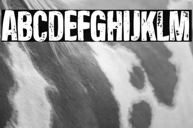 The Incredible Jesus Font examples