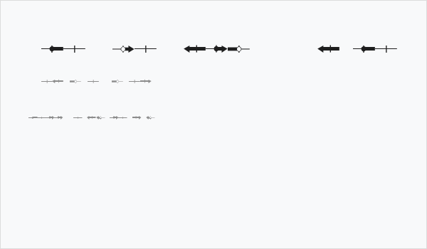 The Inequality Grapher Business Card
