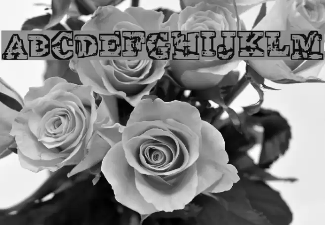 The Interzone Font examples