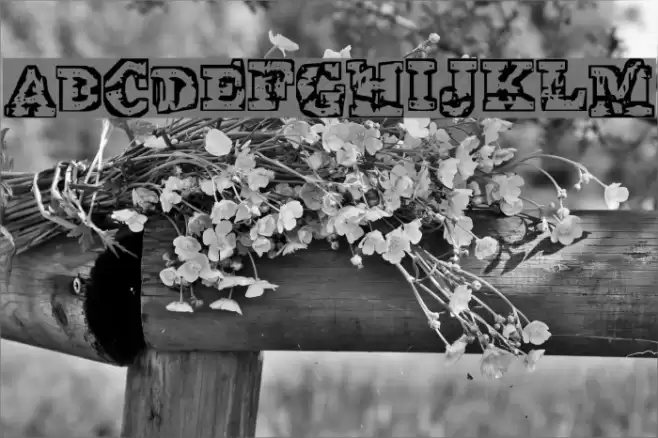 The Interzone Font examples