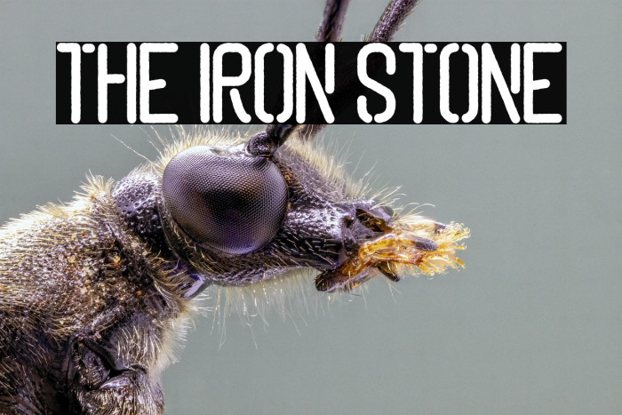 The Iron Stone Example 1