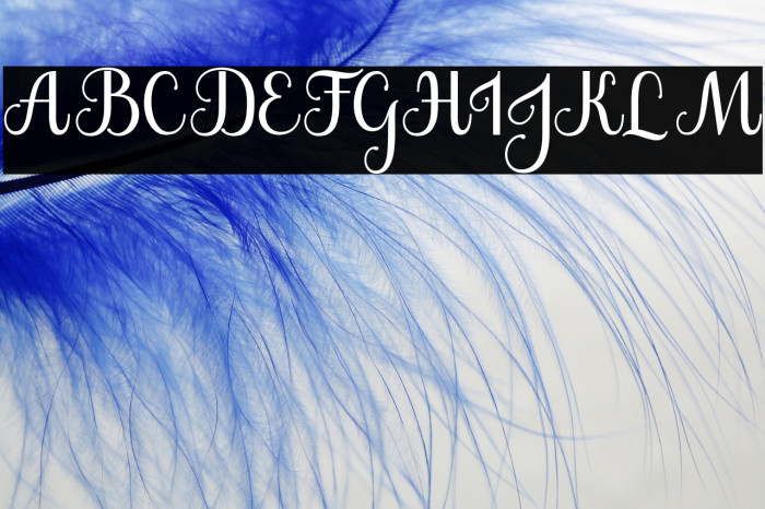 The Jamroods Example 2