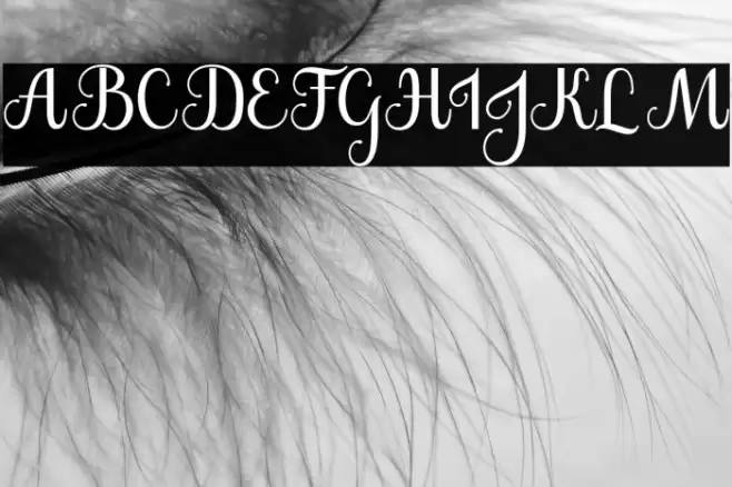 The Jamroods Font examples