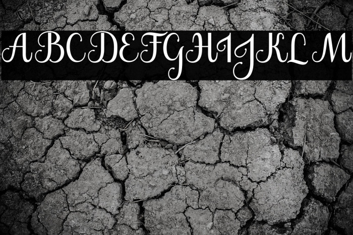 The Jamroods Example 3