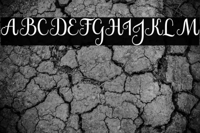 The Jamroods Font examples