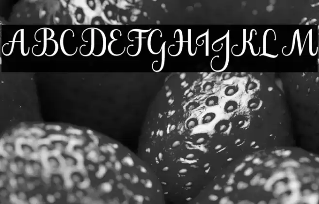 The Jamroods Font examples