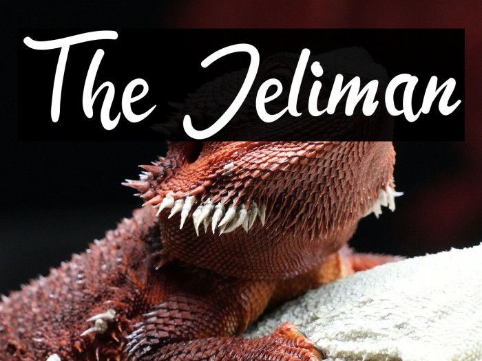 The Jeliman Example 1