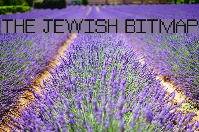 The Jewish Bitmap Example 3