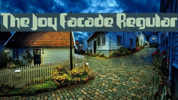 The Joy Facade Regular Font examples