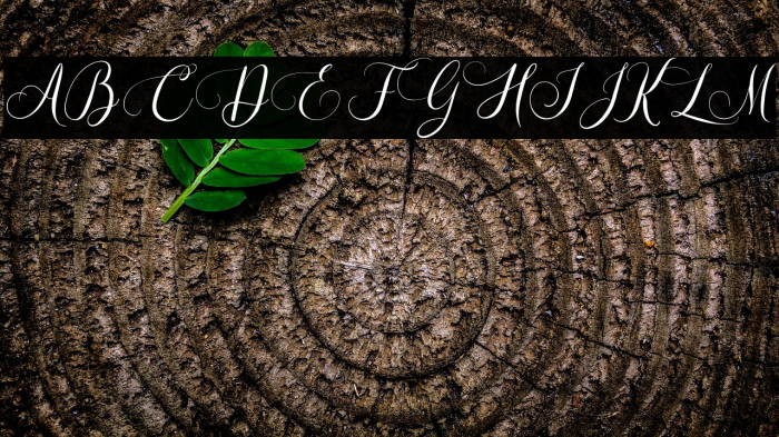 The Julayna Example 3