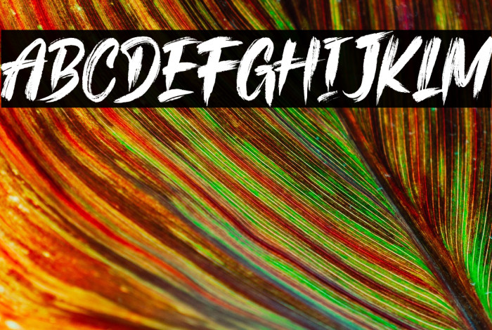 The Kallman Example 3