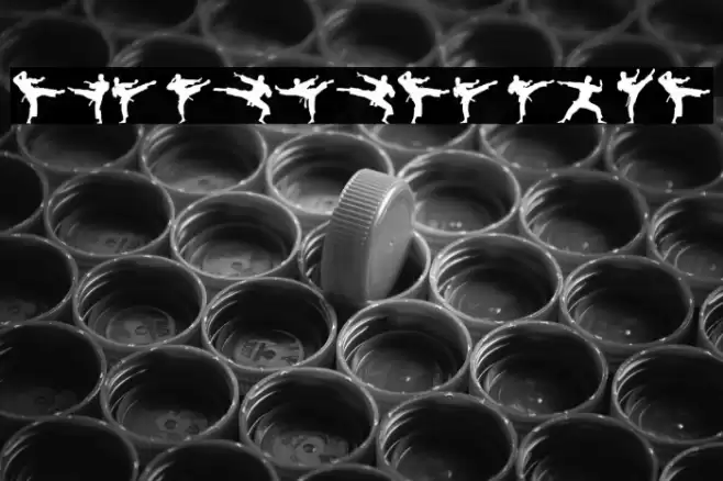 The Karate Do ST Font examples