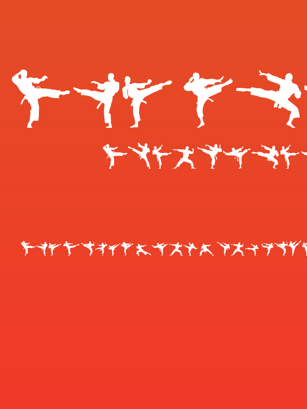 The Karate Do ST Poster