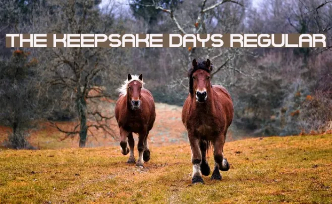 The Keepsake Days Regular Example 2