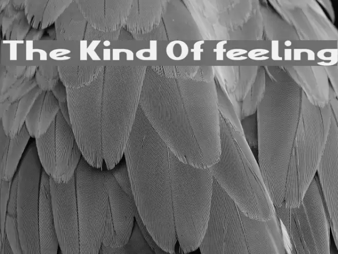 The Kind Of feeling Font examples
