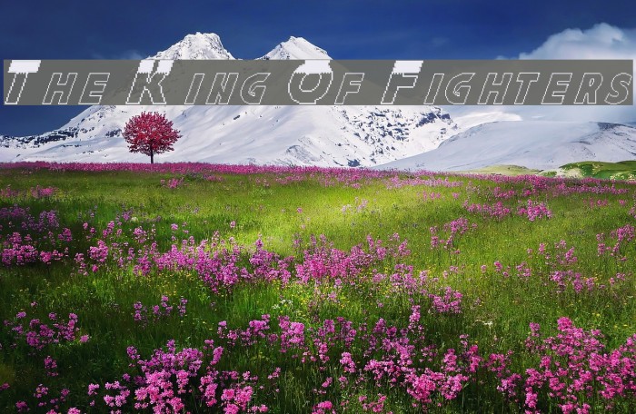The King Of Fighters Шрифта examples