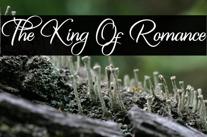 The King Of Romance Example 1