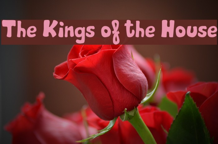 The Kings of the House Font examples