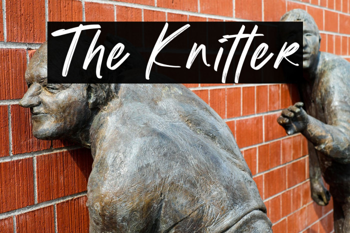 The Knitter Example 1