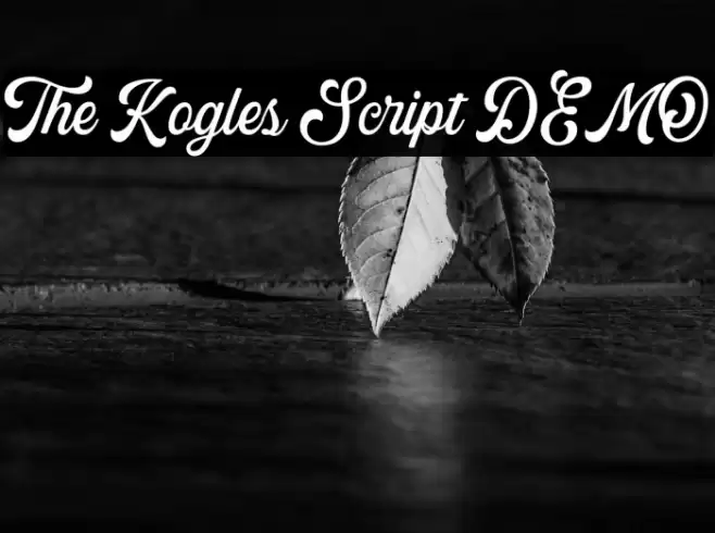 The Kogles Script DEMO Font examples