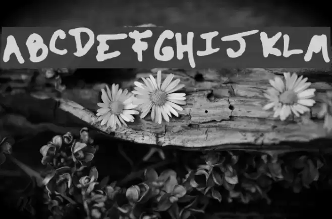 The Kool Font Font examples