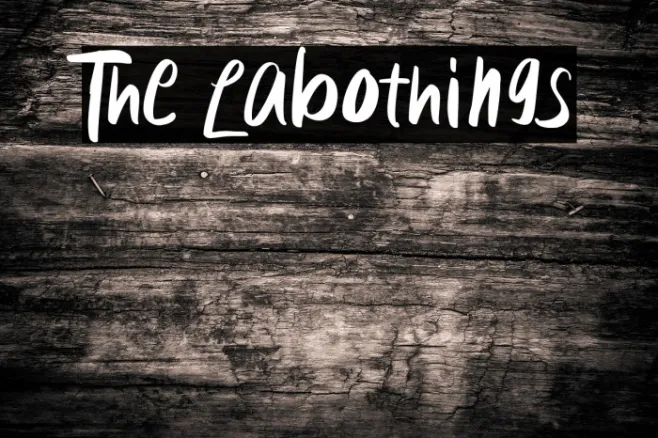 The Labothings Example 1