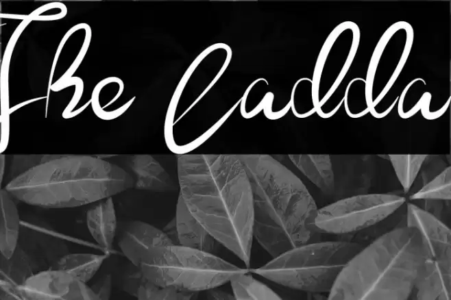 The Ladda Caratteri examples