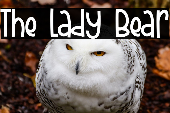 The Lady Bear Font examples