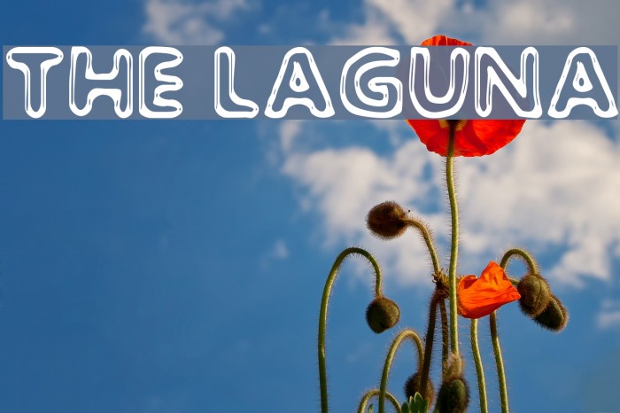 The Laguna Font examples
