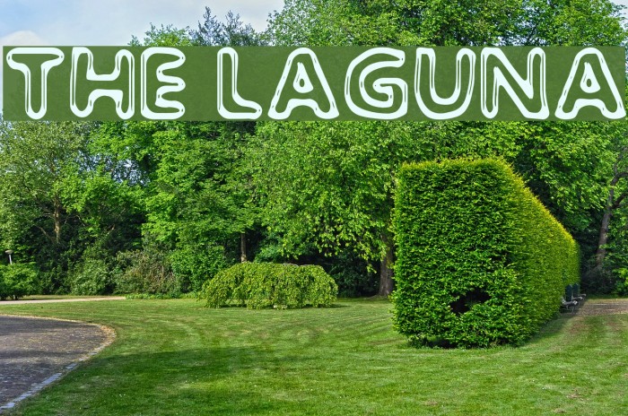 The Laguna Font examples