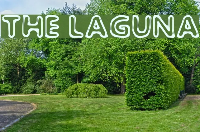 The Laguna Example 3