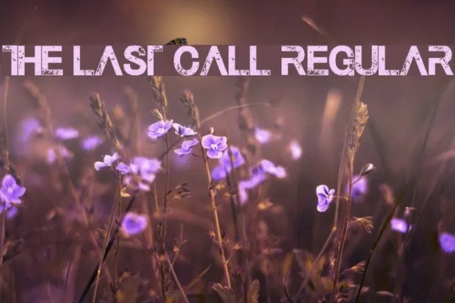 The Last Call Regular Example 1