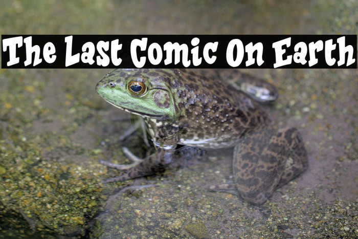 The Last Comic On Earth Example 3