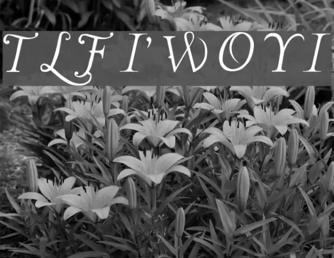 The Last Font I'm Wasting On You Italic Font examples