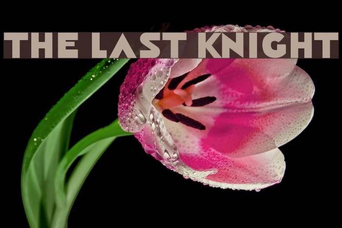 The Last Knight Font examples