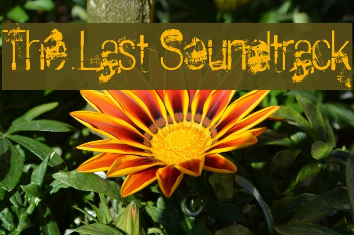 The Last Soundtrack Schriftart examples